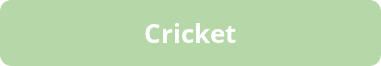 button-cricket
