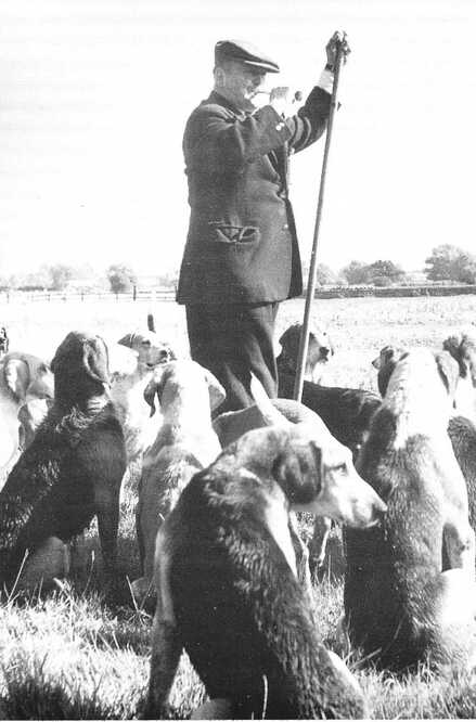 William Rupert Edolph Andrewes Uthwatt with the Bucks otterhounds.